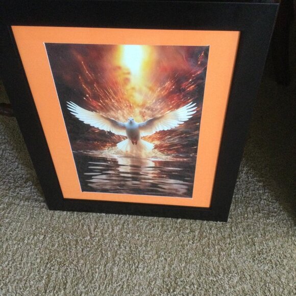 1pc 16x20Frame 12x18 inch Christian Dove Holy Spirit Creation Religious Bird Art - Picture 1 of 5